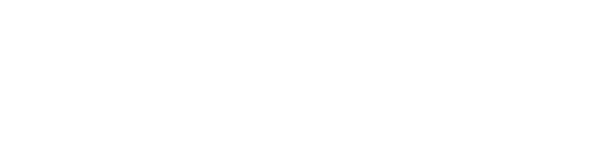 Skale Logo White